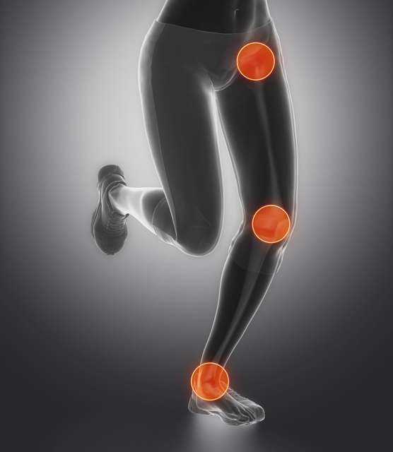 38934707 - leg most injured regoins in sport - ankle,hip,knee