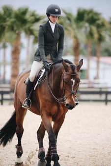 horse and rider physio Kelcie Mitchell