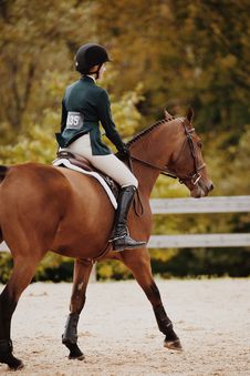 horse physio and horse rider kelcie mitchell