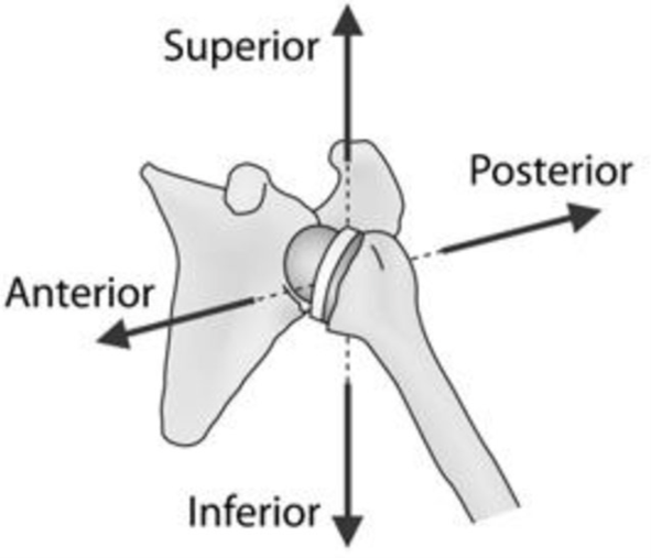 Unstable Shoulders?